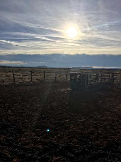 Sun over the ranch