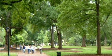 The University of South Carolina